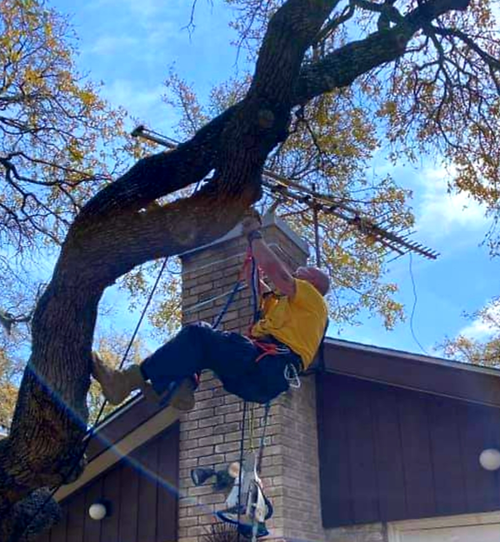 Bunkhouse Tree Service at work