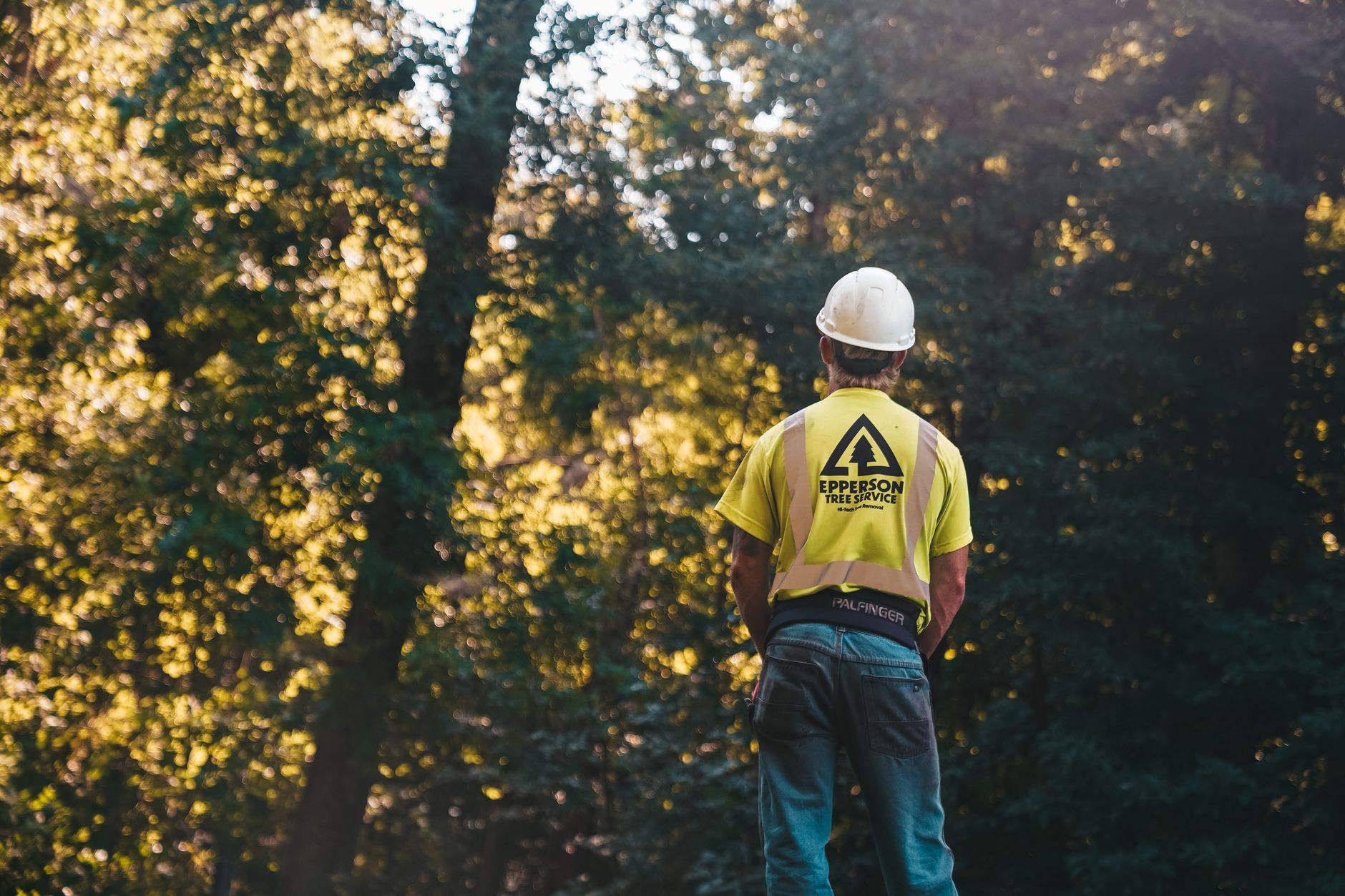 Storm Cleanup — Bunkhouse Tree Service